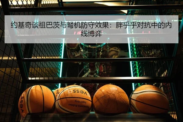 约基奇谈祖巴茨与弩机防守效果：胖乎乎对抗中的内线博弈